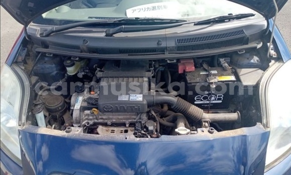 Buy Used Toyota Vitz Blue Car in Beitbridge in Matabeleland South Buy Used Toyota Vitz Blue Car in Beitbridge in Matabeleland South