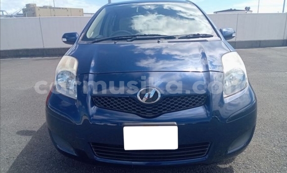 Buy Used Toyota Vitz Blue Car in Beitbridge in Matabeleland South Buy Used Toyota Vitz Blue Car in Beitbridge in Matabeleland South