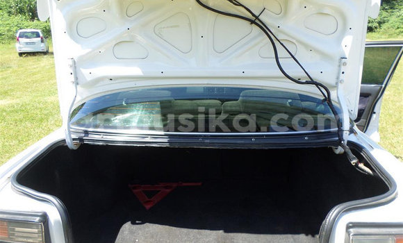 Acheter Occasion Voiture Toyota Corolla Blanc à Beitbridge, Matabeleland South Acheter Occasion Voiture Toyota Corolla Blanc à Beitbridge, Matabeleland South