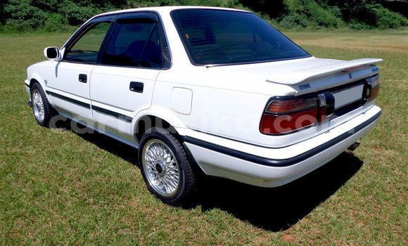Acheter Occasion Voiture Toyota Corolla Blanc à Beitbridge, Matabeleland South Acheter Occasion Voiture Toyota Corolla Blanc à Beitbridge, Matabeleland South
