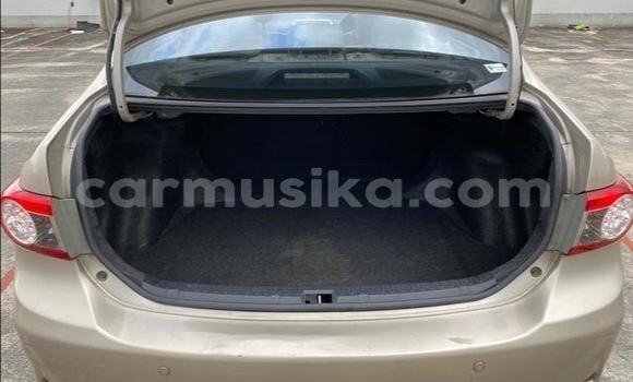 Tenga Tsaru Toyota Altis Zvimwe Mota in Beitbridge in Matabeleland South Tenga Tsaru Toyota Altis Zvimwe Mota in Beitbridge in Matabeleland South