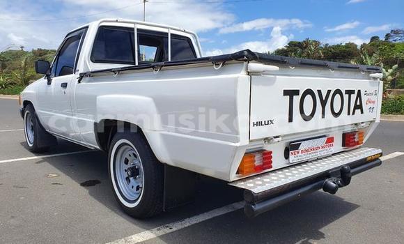 Tenga Tsaru Toyota Hilux Chena Mota in Beitbridge in Matabeleland South Tenga Tsaru Toyota Hilux Chena Mota in Beitbridge in Matabeleland South