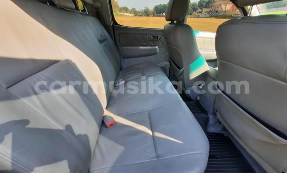 Acheter Occasion Voiture Toyota Hilux Blanc à Beitbridge, Matabeleland South Acheter Occasion Voiture Toyota Hilux Blanc à Beitbridge, Matabeleland South