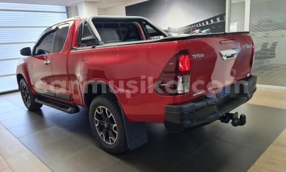 Acheter Occasion Voiture Toyota Hilux Rouge à Beitbridge, Matabeleland South Acheter Occasion Voiture Toyota Hilux Rouge à Beitbridge, Matabeleland South