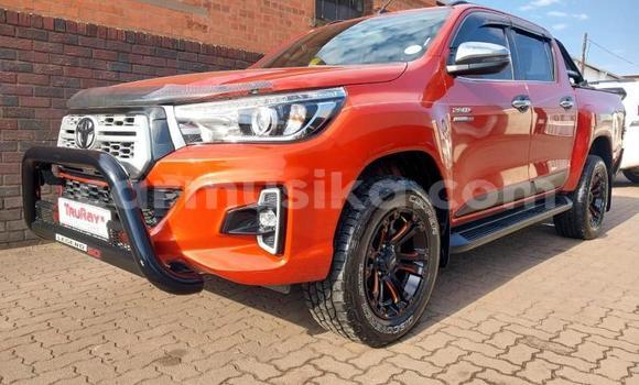 Acheter Occasion Voiture Toyota Hilux Marron à Beitbridge, Matabeleland South Acheter Occasion Voiture Toyota Hilux Marron à Beitbridge, Matabeleland South