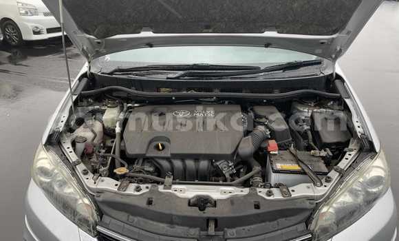 Nunua Ilio tumika Toyota Wish Fedha Gari ndani ya Beitbridge nchini Matabeleland Kusini Nunua Ilio tumika Toyota Wish Fedha Gari ndani ya Beitbridge nchini Matabeleland Kusini