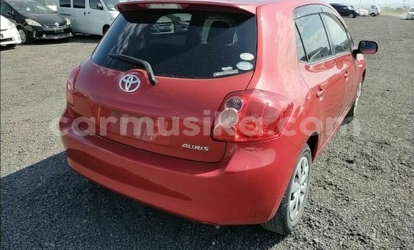 Acheter Occasion Voiture Toyota Auris Rouge à Beitbridge, Matabeleland South Acheter Occasion Voiture Toyota Auris Rouge à Beitbridge, Matabeleland South