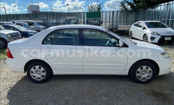 Buy Used Toyota Corolla White Car in Beitbridge in Matabeleland South Buy Used Toyota Corolla White Car in Beitbridge in Matabeleland South