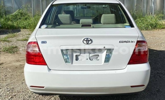 Buy Used Toyota Corolla White Car in Beitbridge in Matabeleland South Buy Used Toyota Corolla White Car in Beitbridge in Matabeleland South