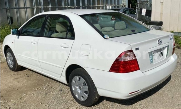 Buy Used Toyota Corolla White Car in Beitbridge in Matabeleland South Buy Used Toyota Corolla White Car in Beitbridge in Matabeleland South