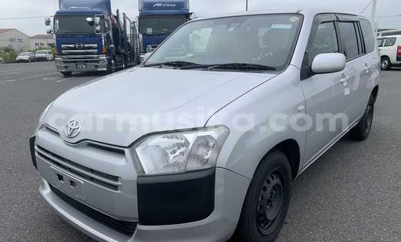 Tenga Tsaru Toyota Probox Sirivha Mota in Beitbridge in Matabeleland South