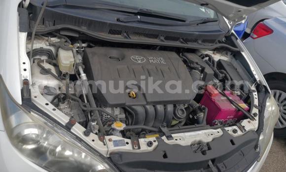 Acheter Occasion Voiture Toyota Wish Beige à Beitbridge, Matabeleland South Acheter Occasion Voiture Toyota Wish Beige à Beitbridge, Matabeleland South