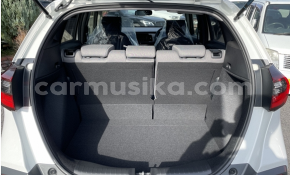 Tenga Tsaru Honda Fit Chena Mota in Beitbridge in Matabeleland South Tenga Tsaru Honda Fit Chena Mota in Beitbridge in Matabeleland South