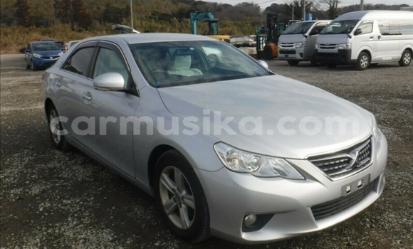 Tenga Tsaru Toyota Mark X Sirivha Mota in Beitbridge in Matabeleland South