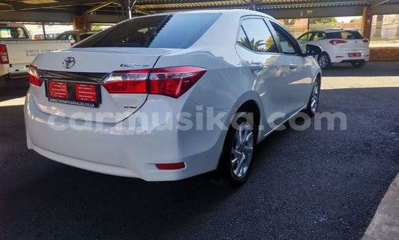 Nunua Ilio tumika Toyota Corolla Nyeupe Gari ndani ya Beitbridge nchini Matabeleland Kusini Nunua Ilio tumika Toyota Corolla Nyeupe Gari ndani ya Beitbridge nchini Matabeleland Kusini