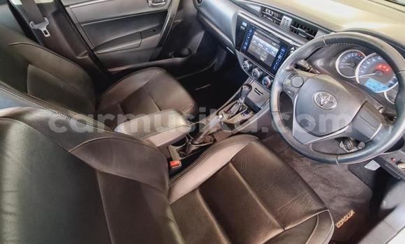 Nunua Ilio tumika Toyota Corolla Nyeupe Gari ndani ya Beitbridge nchini Matabeleland Kusini Nunua Ilio tumika Toyota Corolla Nyeupe Gari ndani ya Beitbridge nchini Matabeleland Kusini