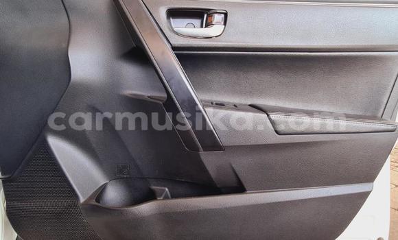 Nunua Ilio tumika Toyota Corolla Nyeupe Gari ndani ya Beitbridge nchini Matabeleland Kusini Nunua Ilio tumika Toyota Corolla Nyeupe Gari ndani ya Beitbridge nchini Matabeleland Kusini