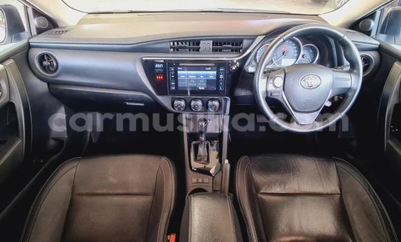 Nunua Ilio tumika Toyota Corolla Nyeupe Gari ndani ya Beitbridge nchini Matabeleland Kusini Nunua Ilio tumika Toyota Corolla Nyeupe Gari ndani ya Beitbridge nchini Matabeleland Kusini