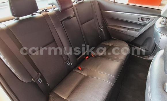 Nunua Ilio tumika Toyota Corolla Nyeupe Gari ndani ya Beitbridge nchini Matabeleland Kusini Nunua Ilio tumika Toyota Corolla Nyeupe Gari ndani ya Beitbridge nchini Matabeleland Kusini