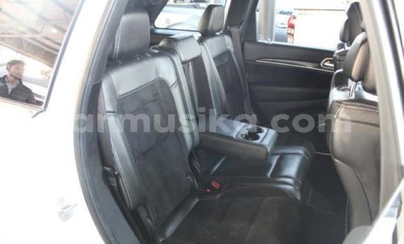 Tenga Tsaru Jeep Cherokee Chena Mota in Beitbridge in Matabeleland South Tenga Tsaru Jeep Cherokee Chena Mota in Beitbridge in Matabeleland South