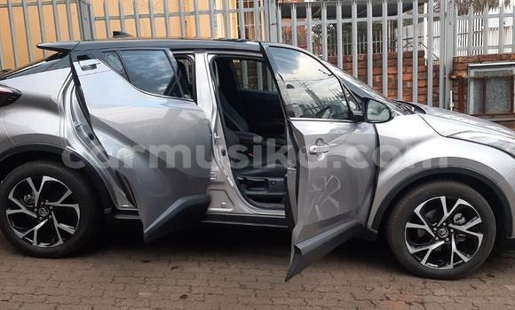 Buy Used Toyota C-HR Silver Car in Beitbridge in Matabeleland South