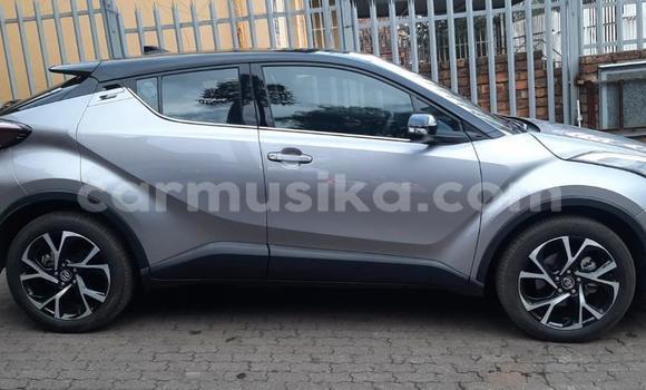 Acheter Occasion Voiture Toyota C-HR Gris à Beitbridge, Matabeleland South Acheter Occasion Voiture Toyota C-HR Gris à Beitbridge, Matabeleland South