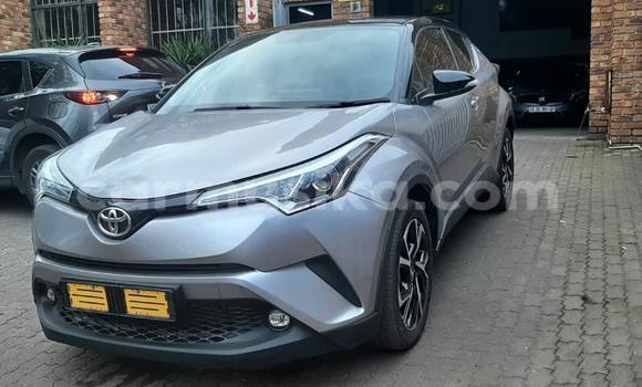 Acheter Occasion Voiture Toyota C-HR Gris à Beitbridge, Matabeleland South Acheter Occasion Voiture Toyota C-HR Gris à Beitbridge, Matabeleland South