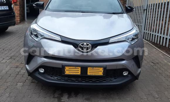 Acheter Occasion Voiture Toyota C-HR Gris à Beitbridge, Matabeleland South Acheter Occasion Voiture Toyota C-HR Gris à Beitbridge, Matabeleland South