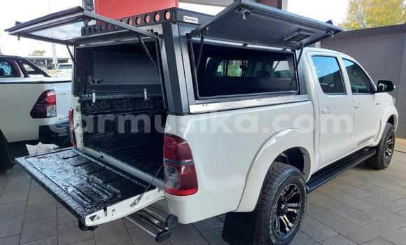 Tenga Tsaru Toyota Hilux Chena Mota in Beitbridge in Matabeleland South