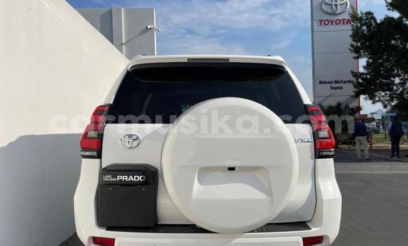 Buy Used Toyota Prado White Car in Beitbridge in Matabeleland South
