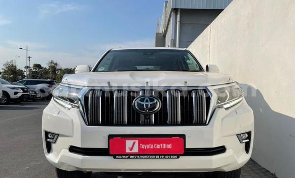 Acheter Occasion Voiture Toyota Prado Blanc à Beitbridge, Matabeleland South Acheter Occasion Voiture Toyota Prado Blanc à Beitbridge, Matabeleland South