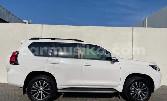 Acheter Occasion Voiture Toyota Prado Blanc à Beitbridge, Matabeleland South Acheter Occasion Voiture Toyota Prado Blanc à Beitbridge, Matabeleland South