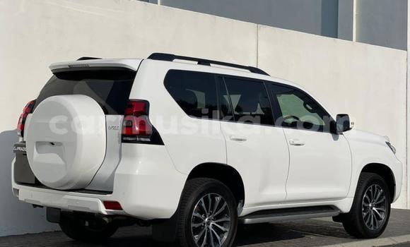 Acheter Occasion Voiture Toyota Prado Blanc à Beitbridge, Matabeleland South Acheter Occasion Voiture Toyota Prado Blanc à Beitbridge, Matabeleland South