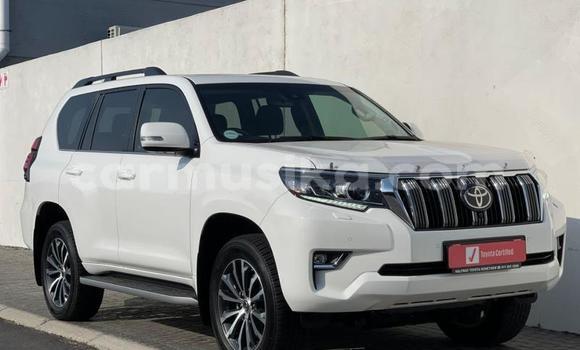 Acheter Occasion Voiture Toyota Prado Blanc à Beitbridge, Matabeleland South Acheter Occasion Voiture Toyota Prado Blanc à Beitbridge, Matabeleland South
