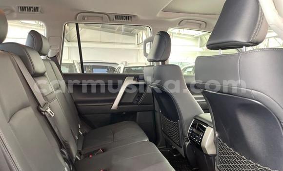 Acheter Occasion Voiture Toyota Prado Blanc à Beitbridge, Matabeleland South Acheter Occasion Voiture Toyota Prado Blanc à Beitbridge, Matabeleland South