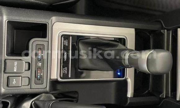 Acheter Occasion Voiture Toyota Prado Blanc à Beitbridge, Matabeleland South Acheter Occasion Voiture Toyota Prado Blanc à Beitbridge, Matabeleland South