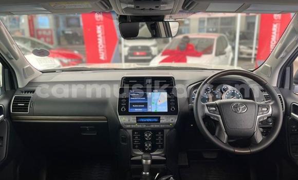 Acheter Occasion Voiture Toyota Prado Blanc à Beitbridge, Matabeleland South Acheter Occasion Voiture Toyota Prado Blanc à Beitbridge, Matabeleland South