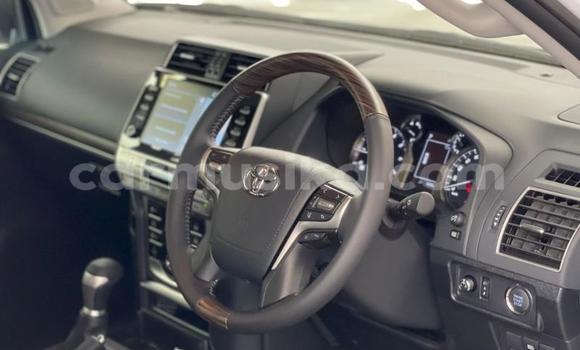 Acheter Occasion Voiture Toyota Prado Blanc à Beitbridge, Matabeleland South Acheter Occasion Voiture Toyota Prado Blanc à Beitbridge, Matabeleland South