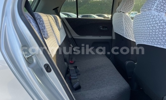 Tenga Tsaru Toyota Vitz Sirivha Mota in Beitbridge in Matabeleland South Tenga Tsaru Toyota Vitz Sirivha Mota in Beitbridge in Matabeleland South