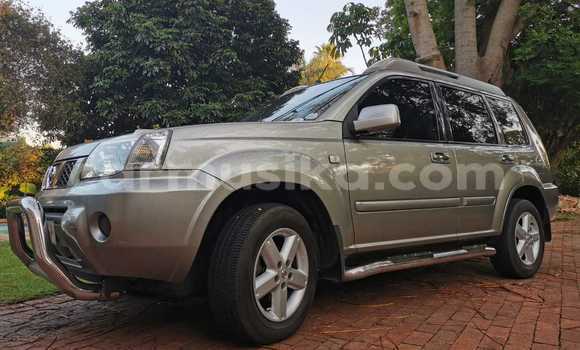 Acheter Occasion Voiture Nissan X–Trail Gris à Beitbridge, Matabeleland South Acheter Occasion Voiture Nissan X–Trail Gris à Beitbridge, Matabeleland South