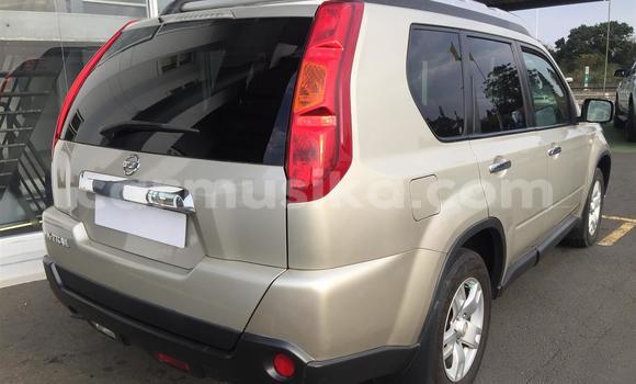 Acheter Occasion Voiture Nissan X–Trail Gris à Beitbridge, Matabeleland South Acheter Occasion Voiture Nissan X–Trail Gris à Beitbridge, Matabeleland South