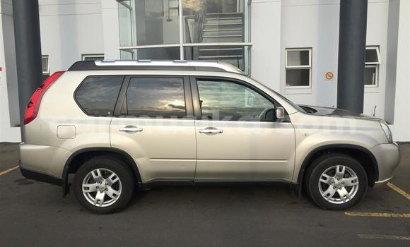 Acheter Occasion Voiture Nissan X–Trail Gris à Beitbridge, Matabeleland South Acheter Occasion Voiture Nissan X–Trail Gris à Beitbridge, Matabeleland South