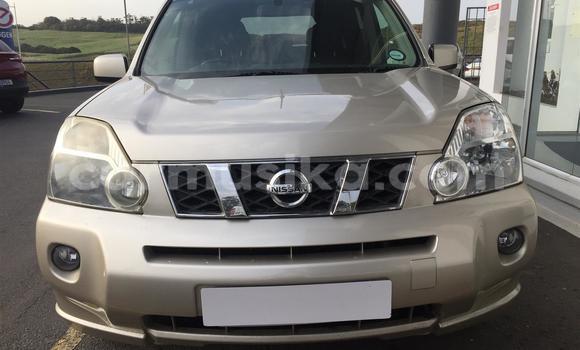 Acheter Occasion Voiture Nissan X–Trail Gris à Beitbridge, Matabeleland South Acheter Occasion Voiture Nissan X–Trail Gris à Beitbridge, Matabeleland South