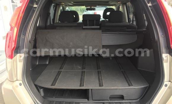 Acheter Occasion Voiture Nissan X–Trail Gris à Beitbridge, Matabeleland South Acheter Occasion Voiture Nissan X–Trail Gris à Beitbridge, Matabeleland South