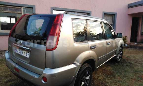 Buy Used Nissan X–Trail Silver Car in Bulawayo in Bulawayo
