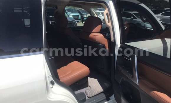 Tenga Tsaru Toyota Land Cruiser Chena Mota in Beitbridge in Matabeleland South Tenga Tsaru Toyota Land Cruiser Chena Mota in Beitbridge in Matabeleland South