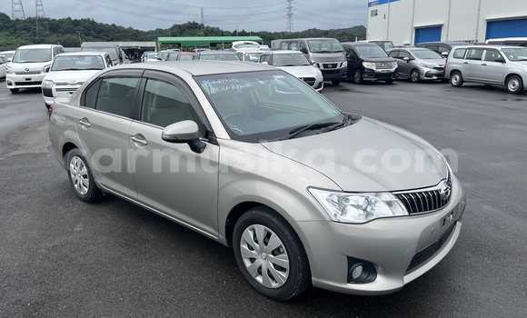 Acheter Occasion Voiture Toyota Axio Autre à Beitbridge, Matabeleland South