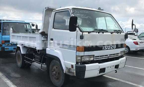Acheter Occasion Utilitaire Isuzu Elf Blanc à Beitbridge, Matabeleland South Acheter Occasion Utilitaire Isuzu Elf Blanc à Beitbridge, Matabeleland South