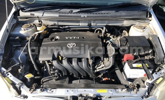 Tenga Tsaru Toyota Allex Sirivha Mota in Beitbridge in Matabeleland South Tenga Tsaru Toyota Allex Sirivha Mota in Beitbridge in Matabeleland South