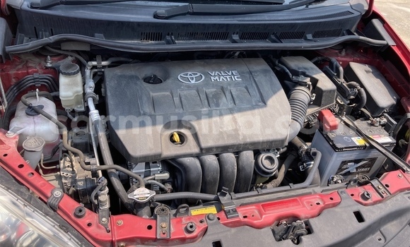 Nunua Ilio tumika Toyota Wish Nyekundu Gari ndani ya Beitbridge nchini Matabeleland Kusini Nunua Ilio tumika Toyota Wish Nyekundu Gari ndani ya Beitbridge nchini Matabeleland Kusini